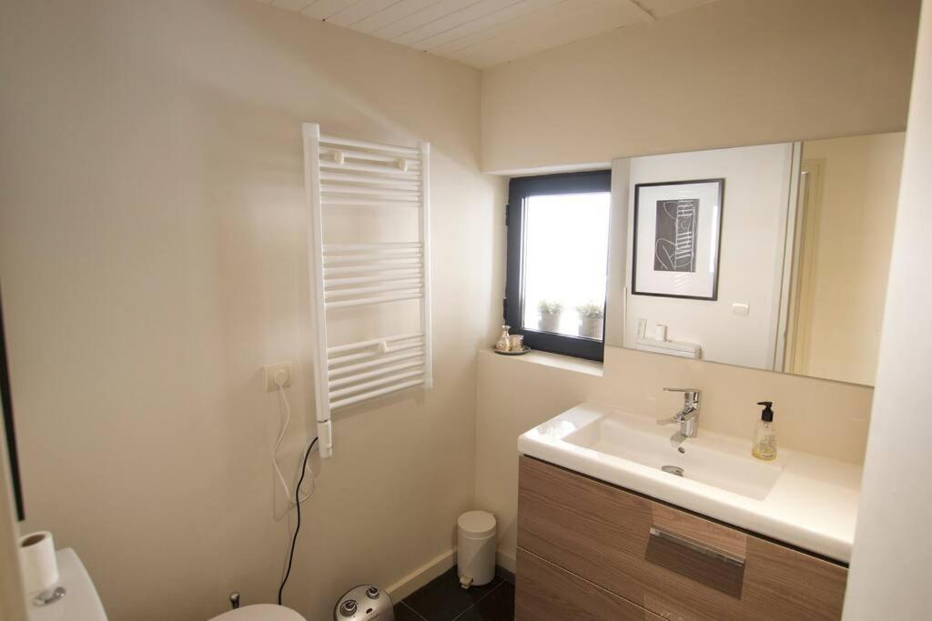 Apartament Central Amb Terrassa Alp Dış mekan fotoğraf